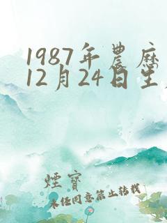 1987年农历12月24日生辰八字