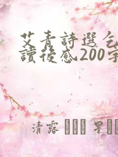 艾青诗选乞丐的读后感200字