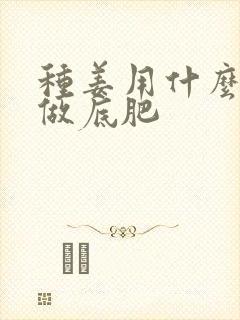 种姜用什么肥料做底肥