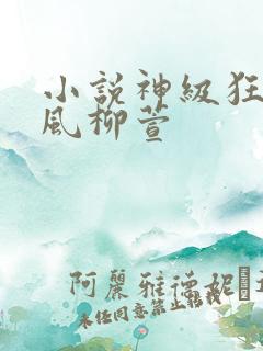 小说神级狂婿岳风柳萱