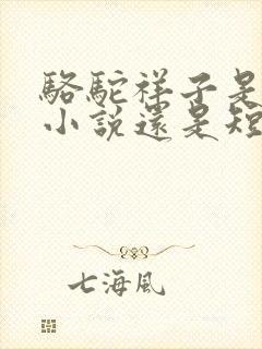 骆驼祥子是长篇小说还是短篇小说
