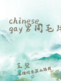 chinesegay男同毛片