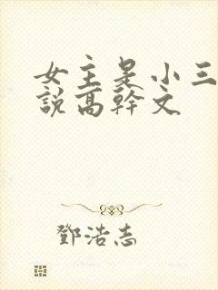 女主是小三的小说高干文