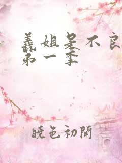 义姐是不良妈妈第一季