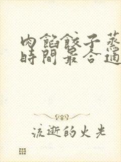 肉馅饺子蒸多长时间最合适