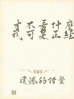 才不看什么文呢我可是正经人的小说