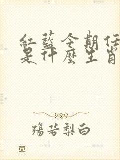 红蓝今期任你选是什么生肖