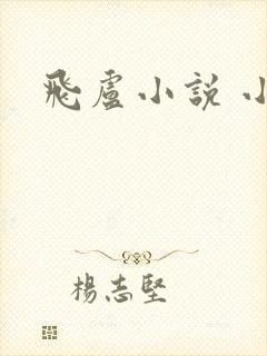飞卢小说 小说