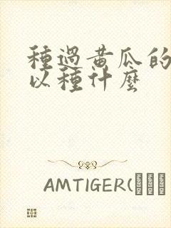 种过黄瓜的地可以种什么