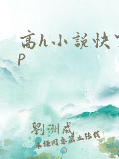 高h小说快穿np