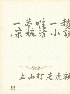 一梦唯一赵振国,宋婉清小说