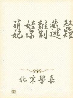 萌娃难藏替嫁王妃你别逃短剧免费