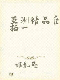 亚洲精品自拍偷拍一