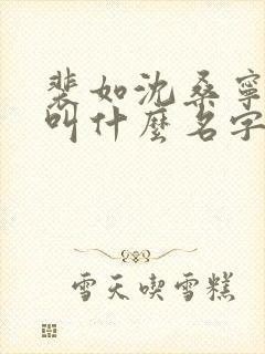 裴如沈桑宁小说叫什么名字