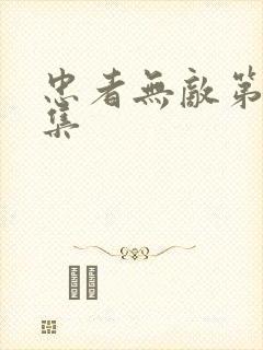 忠者无敌第36集