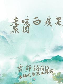 老咳白痰是什么原因