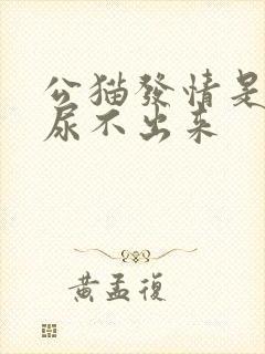 公猫发情是不是尿不出来