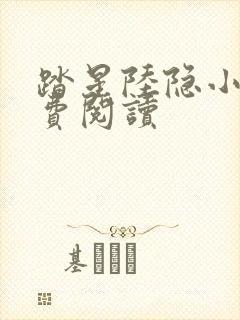 踏星陆隐小说免费阅读