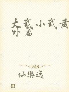 大武小武黄蓉番外篇