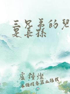 三兄弟的儿子谁是长孙