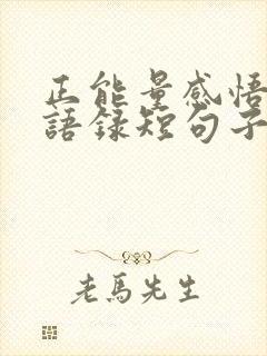 正能量感悟人生语录短句子 正能量感悟人生语录短句子