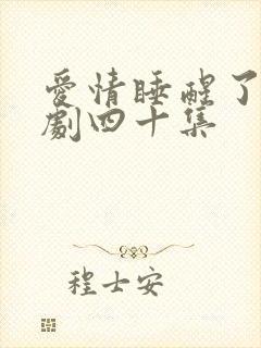 爱情睡醒了连续剧四十集