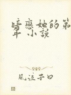 暗恋她的第十一年 小说