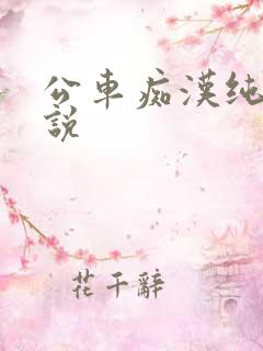 公车痴汉纯肉小说