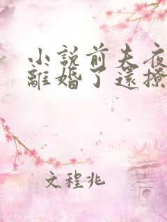 小说前夫夜袭:离婚了还撩我?在线阅读