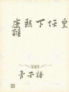 康熙下任皇帝是谁