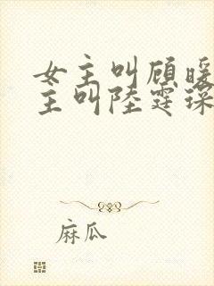 女主叫顾暖,男主叫陆霆琛的小说