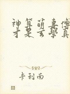 神算萌妻傅太太才是玄学真大佬全部章节