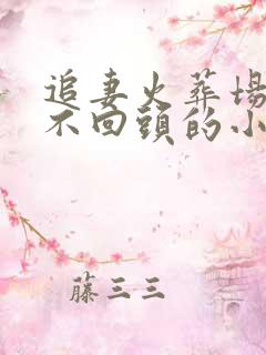 追妻火葬场女主不回头的小说