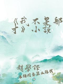 《我不是那种人才》小说