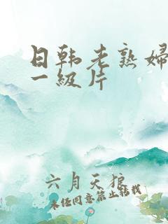 日韩老熟妇黄色一级片