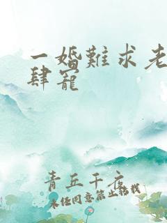 一婚难求老公放肆宠