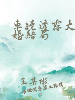 车晓透露大男当婚结局