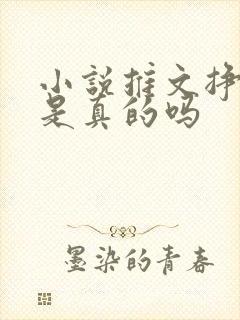 小说推文挣钱吗是真的吗