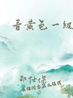 看黄色一级片子