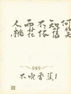 人面不知何处去,桃花依旧笑春风的故事