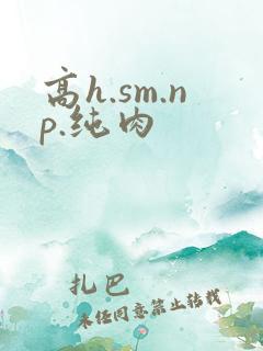 高h.sm.np.纯肉