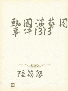 韩国演艺圈悲惨事件1313