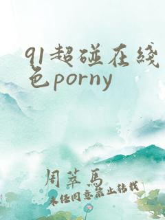 91超碰在线九色porny