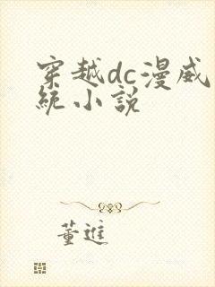 穿越dc漫威系统小说
