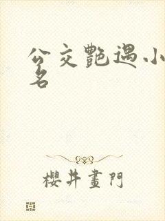 公交艳遇小说书名