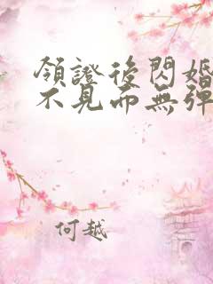 领证后闪婚老公不见面无弹窗