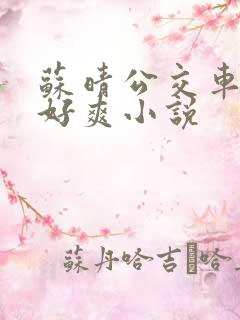 苏晴公交车被强好爽小说