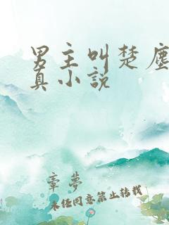 男主叫楚尘的修真小说