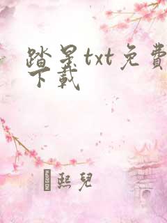 踏星txt免费下载