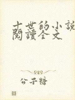 十世的小说在线阅读全文